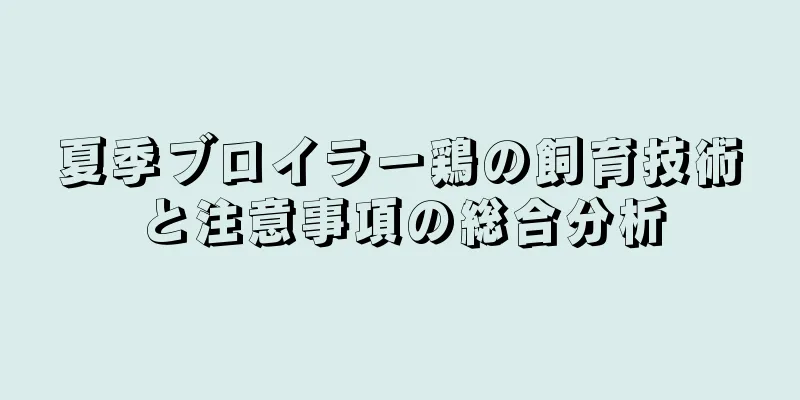 夏季ブロイラー鶏の飼育技術と注意事項の総合分析