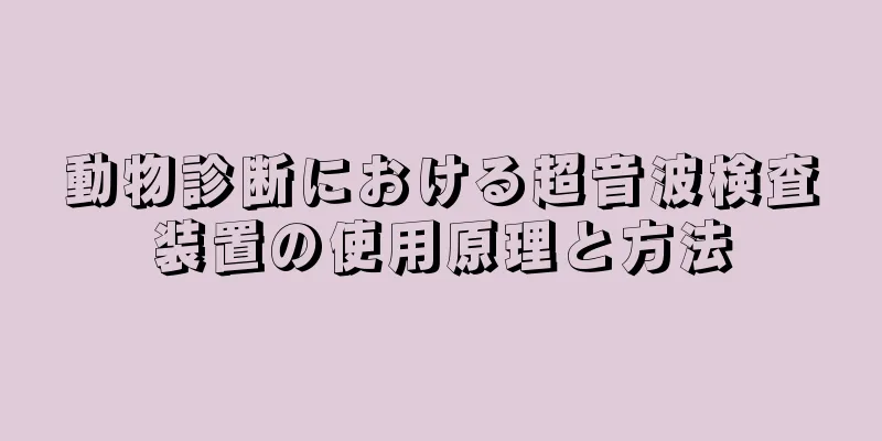 動物診断における超音波検査装置の使用原理と方法