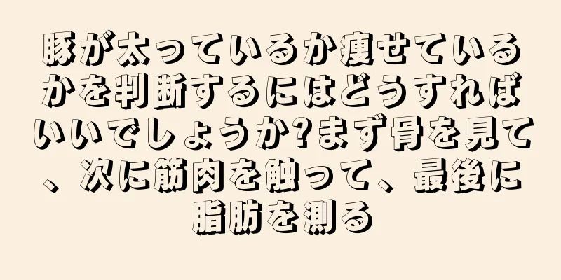 豚が太っているか痩せているかを判断するにはどうすればいいでしょうか?まず骨を見て、次に筋肉を触って、最後に脂肪を測る