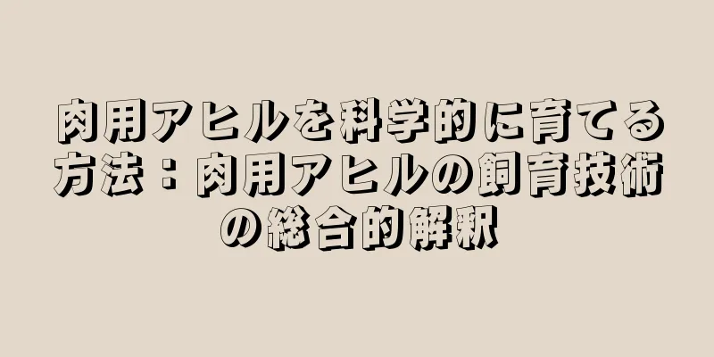 肉用アヒルを科学的に育てる方法：肉用アヒルの飼育技術の総合的解釈