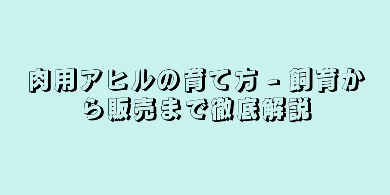 肉用アヒルの育て方 - 飼育から販売まで徹底解説