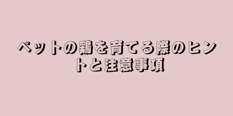 ペットの鶏を育てる際のヒントと注意事項