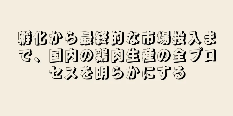 孵化から最終的な市場投入まで、国内の鶏肉生産の全プロセスを明らかにする