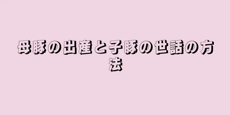 母豚の出産と子豚の世話の方法