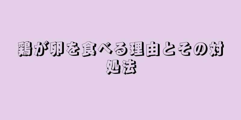鶏が卵を食べる理由とその対処法
