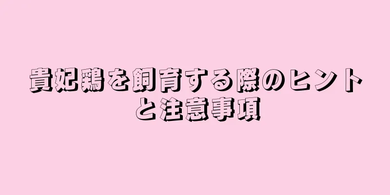 貴妃鶏を飼育する際のヒントと注意事項