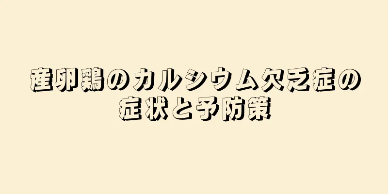 産卵鶏のカルシウム欠乏症の症状と予防策