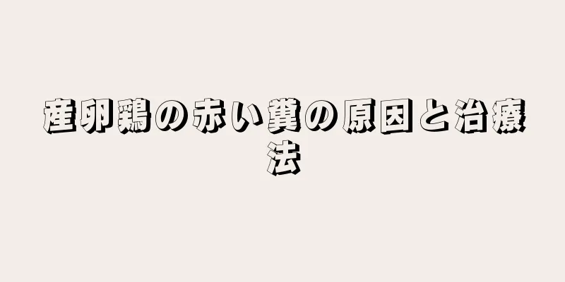 産卵鶏の赤い糞の原因と治療法