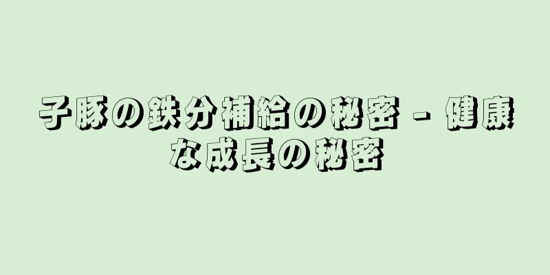 子豚の鉄分補給の秘密 - 健康な成長の秘密