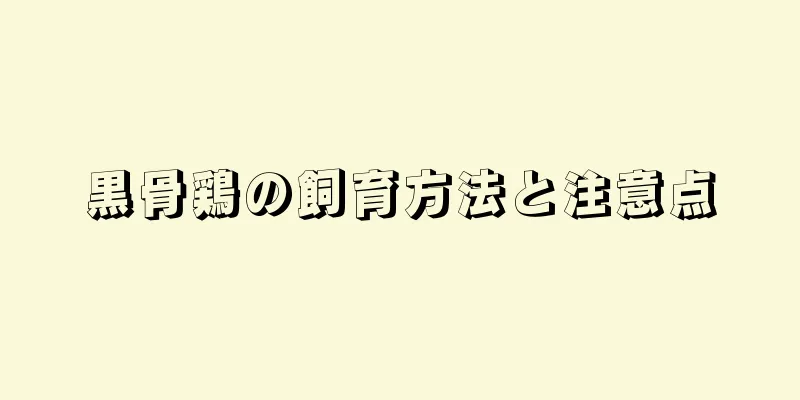 黒骨鶏の飼育方法と注意点