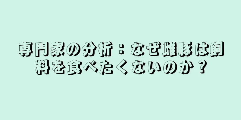 専門家の分析：なぜ雌豚は飼料を食べたくないのか？