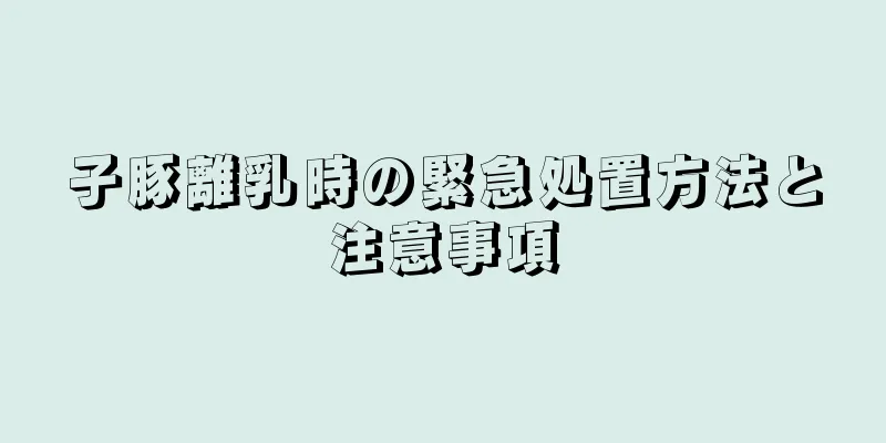 子豚離乳時の緊急処置方法と注意事項