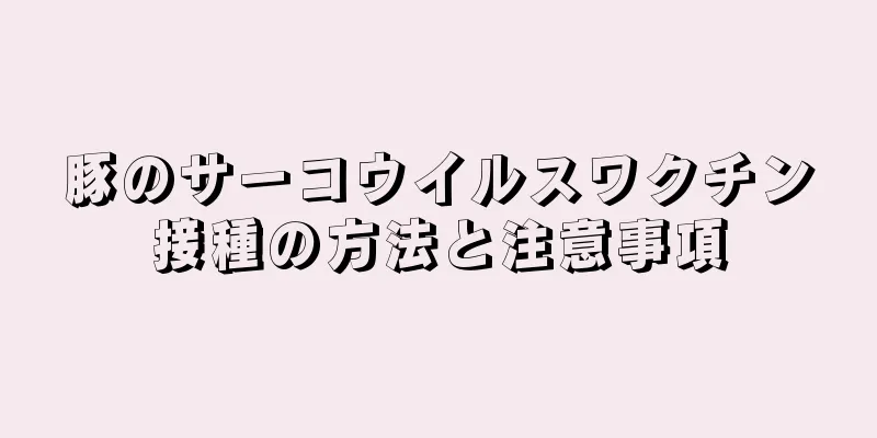 豚のサーコウイルスワクチン接種の方法と注意事項