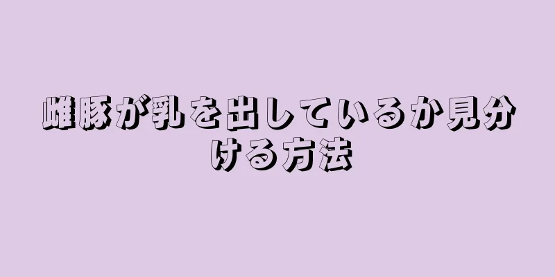 雌豚が乳を出しているか見分ける方法