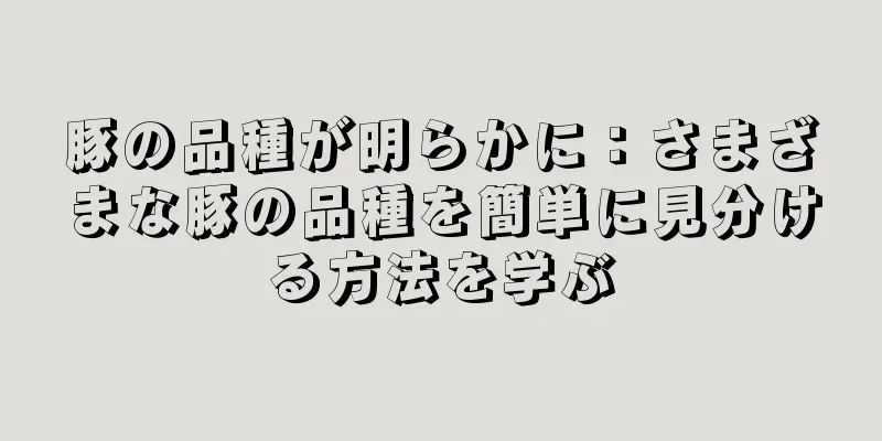 豚の品種が明らかに：さまざまな豚の品種を簡単に見分ける方法を学ぶ