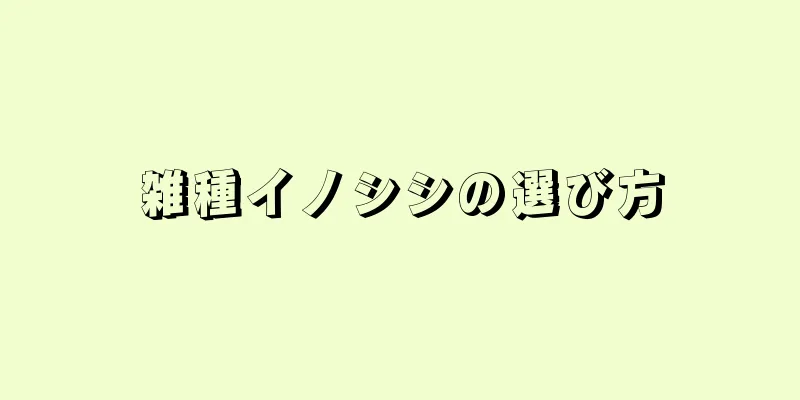 雑種イノシシの選び方