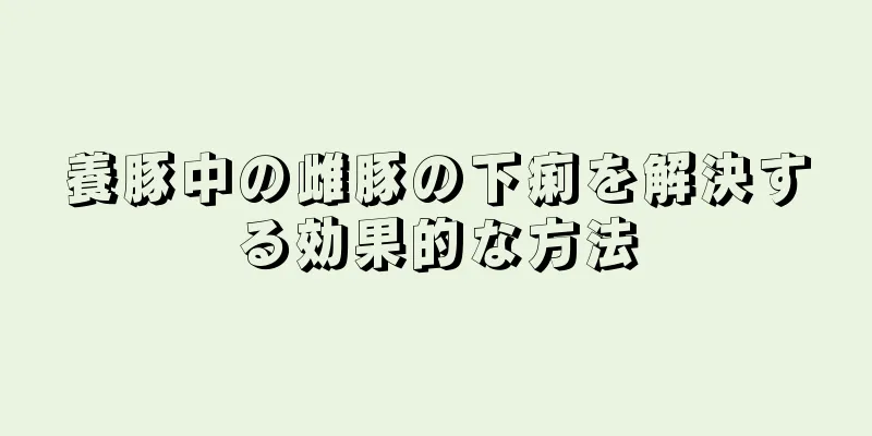 養豚中の雌豚の下痢を解決する効果的な方法