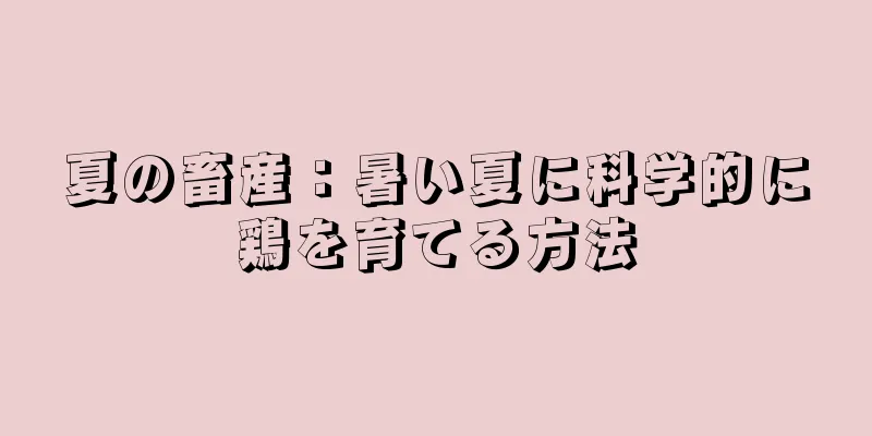 夏の畜産：暑い夏に科学的に鶏を育てる方法
