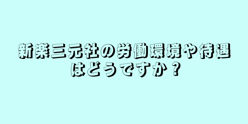 新楽三元社の労働環境や待遇はどうですか？