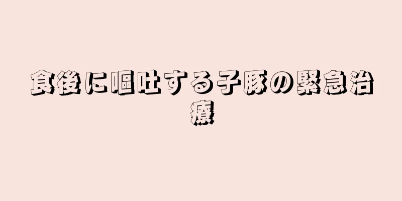 食後に嘔吐する子豚の緊急治療