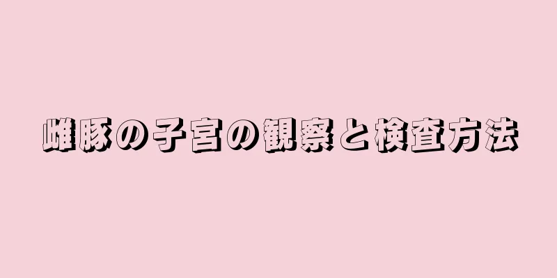 雌豚の子宮の観察と検査方法