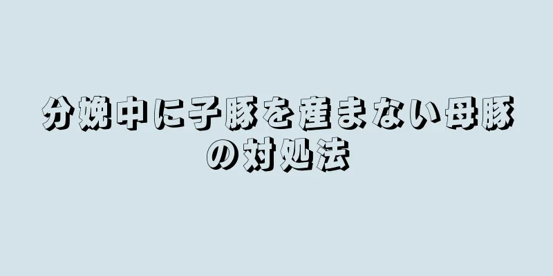 分娩中に子豚を産まない母豚の対処法