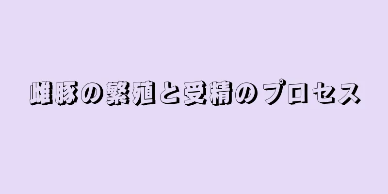雌豚の繁殖と受精のプロセス