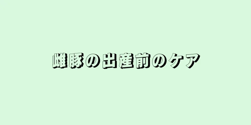 雌豚の出産前のケア