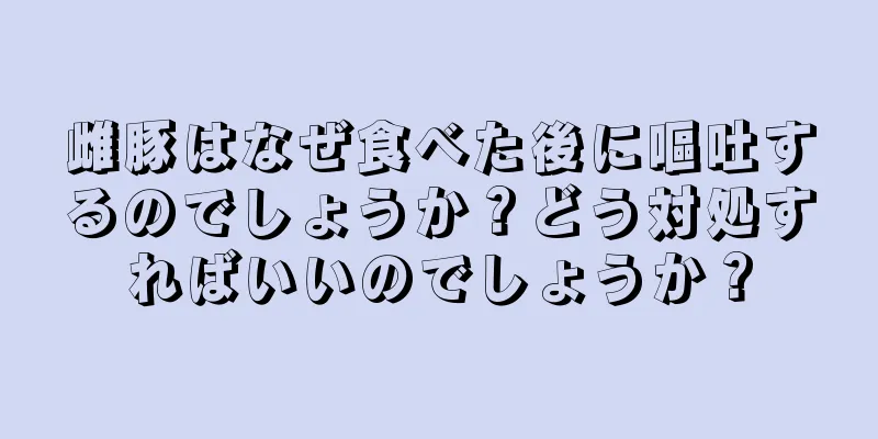 雌豚はなぜ食べた後に嘔吐するのでしょうか？どう対処すればいいのでしょうか？