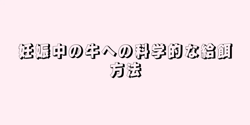 妊娠中の牛への科学的な給餌方法