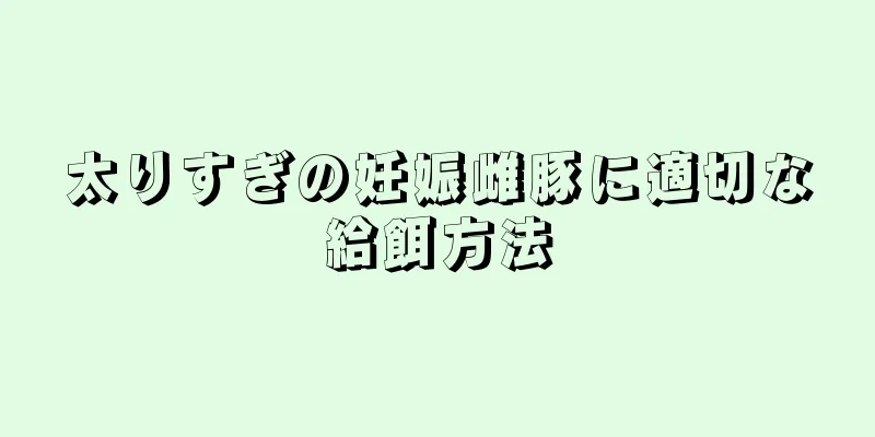 太りすぎの妊娠雌豚に適切な給餌方法