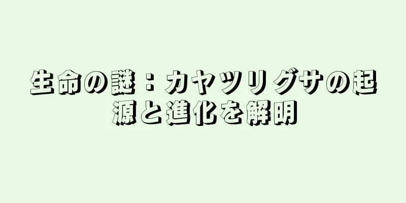 生命の謎：カヤツリグサの起源と進化を解明