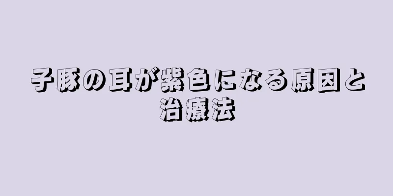子豚の耳が紫色になる原因と治療法