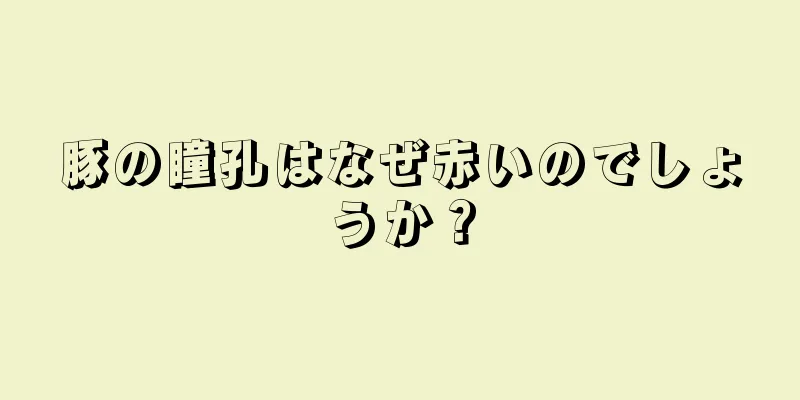 豚の瞳孔はなぜ赤いのでしょうか？