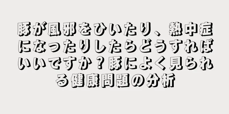 豚が風邪をひいたり、熱中症になったりしたらどうすればいいですか？豚によく見られる健康問題の分析