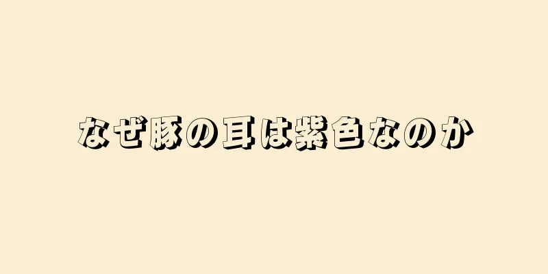 なぜ豚の耳は紫色なのか