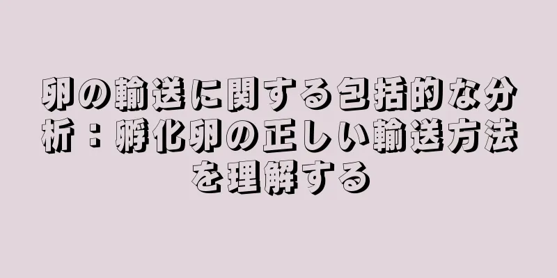 卵の輸送に関する包括的な分析：孵化卵の正しい輸送方法を理解する