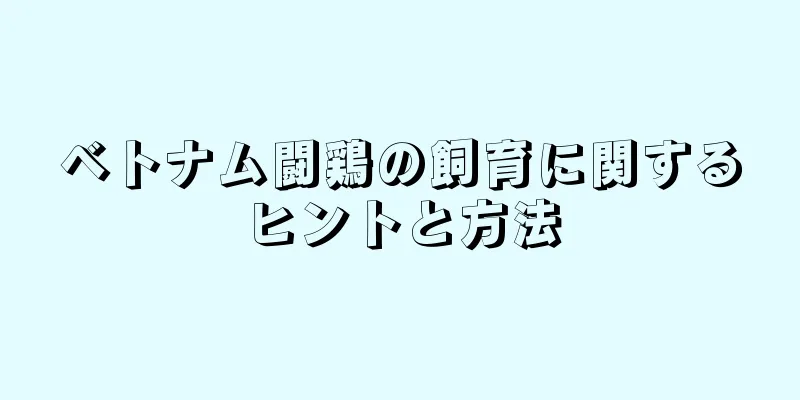 ベトナム闘鶏の飼育に関するヒントと方法