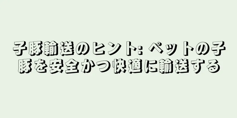子豚輸送のヒント: ペットの子豚を安全かつ快適に輸送する