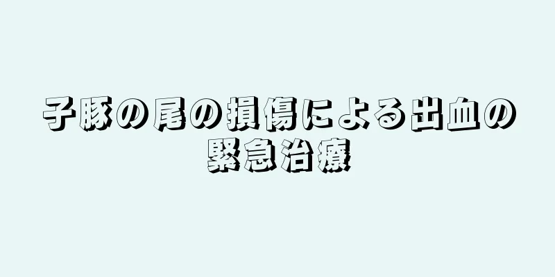 子豚の尾の損傷による出血の緊急治療