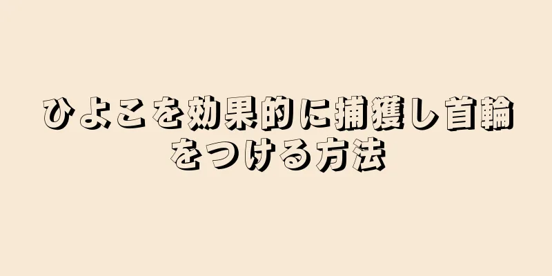 ひよこを効果的に捕獲し首輪をつける方法