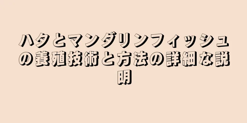 ハタとマンダリンフィッシュの養殖技術と方法の詳細な説明