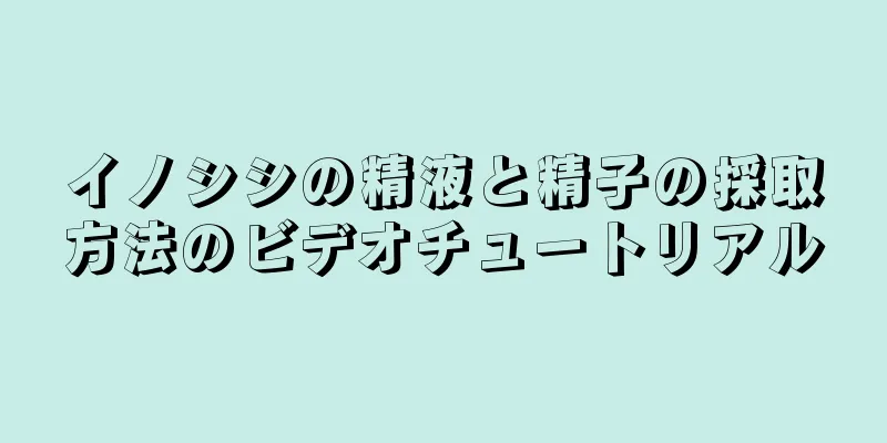 イノシシの精液と精子の採取方法のビデオチュートリアル