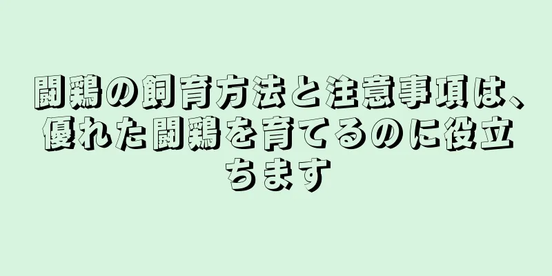 闘鶏の飼育方法と注意事項は、優れた闘鶏を育てるのに役立ちます
