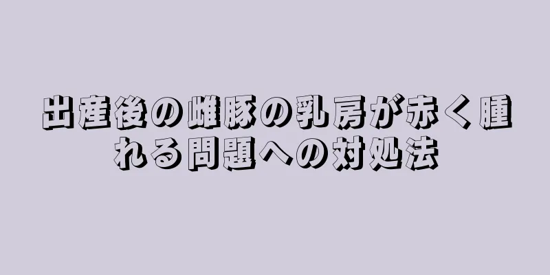 出産後の雌豚の乳房が赤く腫れる問題への対処法