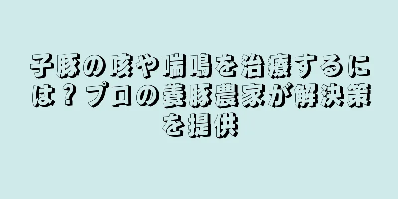 子豚の咳や喘鳴を治療するには？プロの養豚農家が解決策を提供