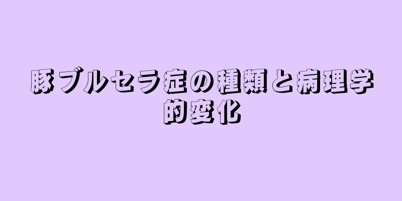 豚ブルセラ症の種類と病理学的変化