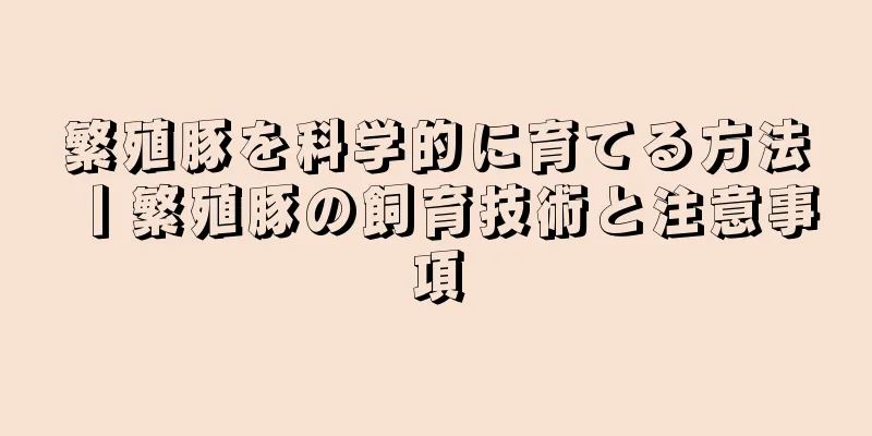 繁殖豚を科学的に育てる方法丨繁殖豚の飼育技術と注意事項
