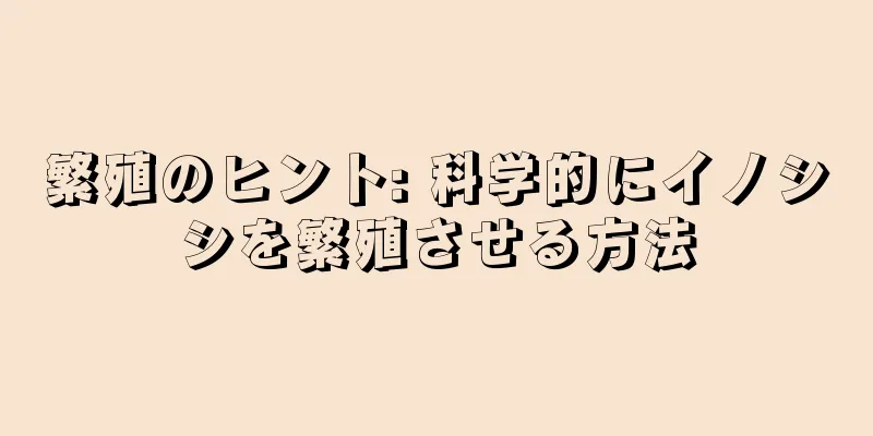 繁殖のヒント: 科学的にイノシシを繁殖させる方法