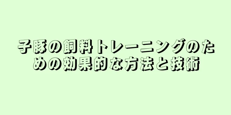 子豚の飼料トレーニングのための効果的な方法と技術